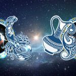 yengec-burcu_kova-burcu